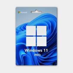 windows 11 pro